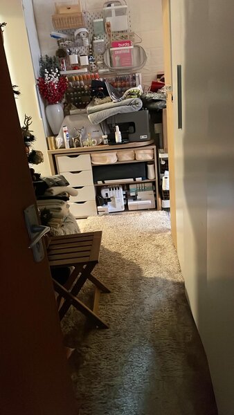 Colentina, Teiul Doamnei,