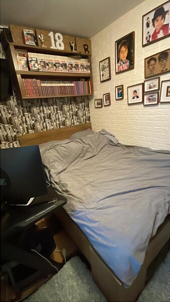 Colentina, Teiul Doamnei,