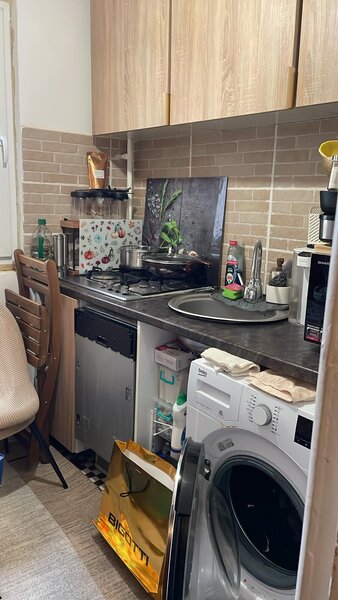 Colentina, Teiul Doamnei,