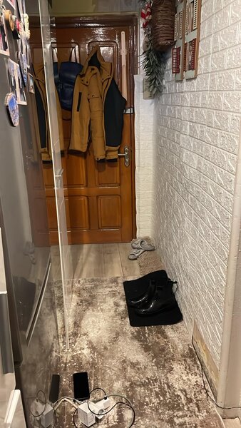 Colentina, Teiul Doamnei,