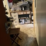 Colentina, Teiul Doamnei